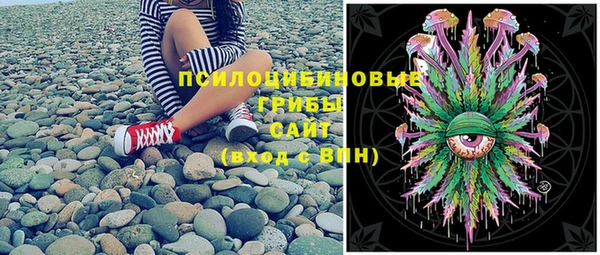 мяу мяу мука Новодвинск