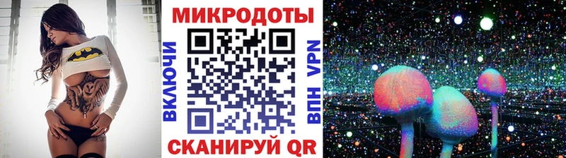 Галлюциногенные грибы Psilocybine cubensis  где продают наркотики  Нюрба 